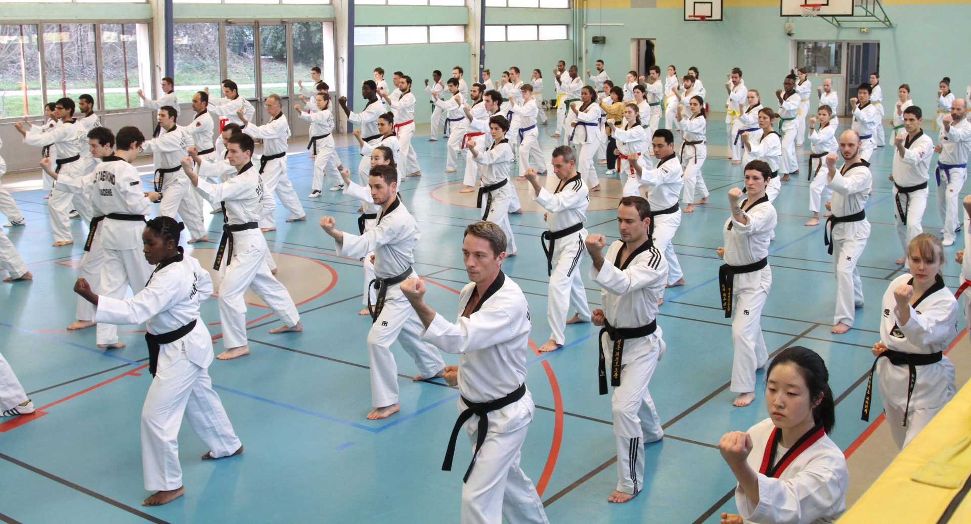 Poom Tusah Elite Pour Taekwondo - Approuvé WT, Idéal Pour Les